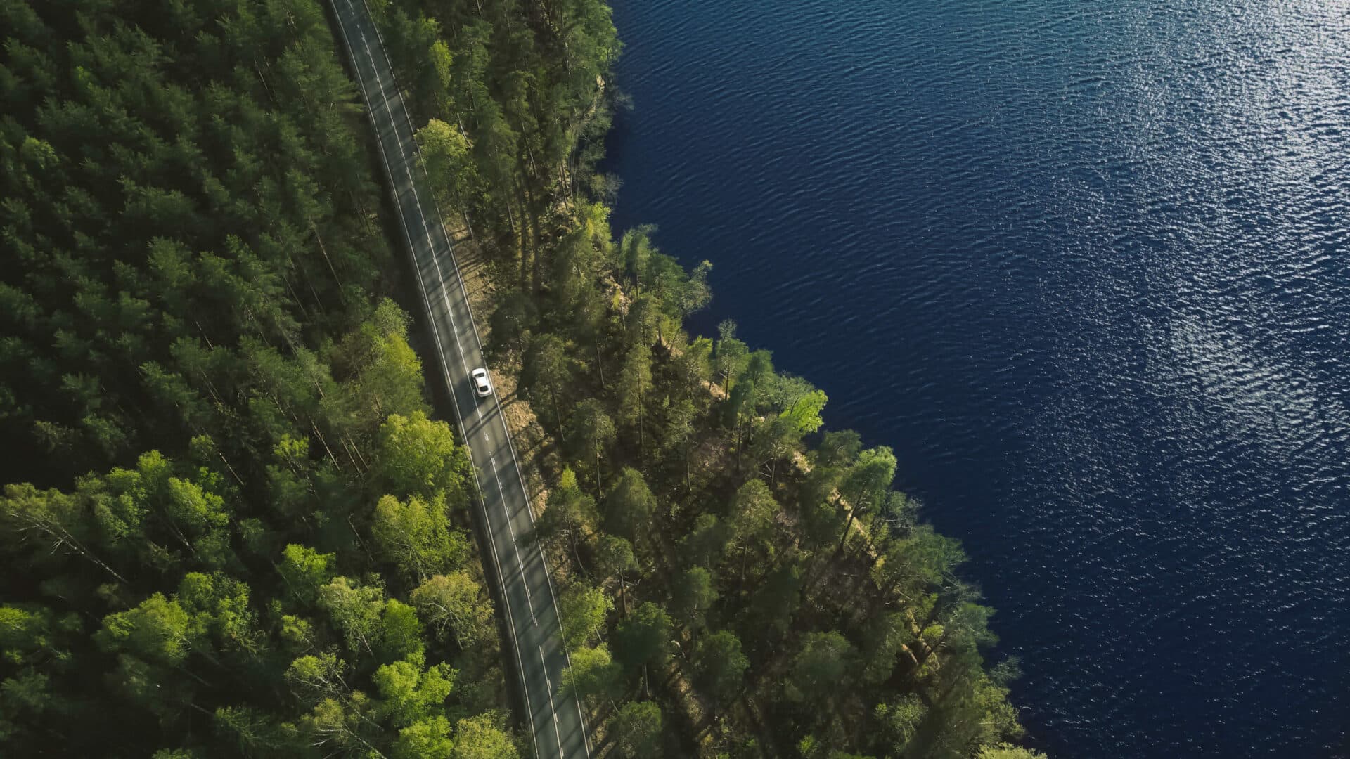 helikopterperspektiv på en bil som åker genom skog